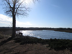 Stunning views of the Lockwood Folly River from the Winding River Plantation boat / kayak launch